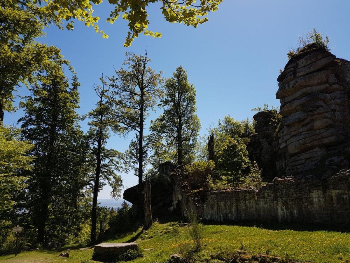 Gaestehaus Aurelia Wiesau Bagian luar foto