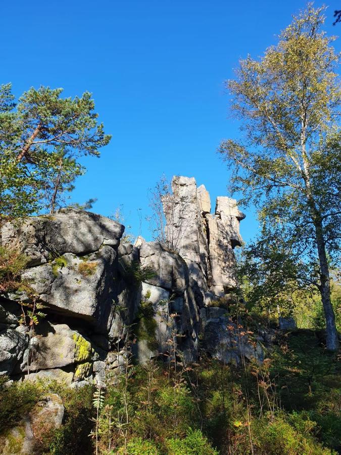 Gaestehaus Aurelia Wiesau Bagian luar foto